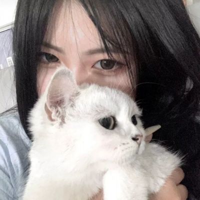 一肖三码手机app下载截图